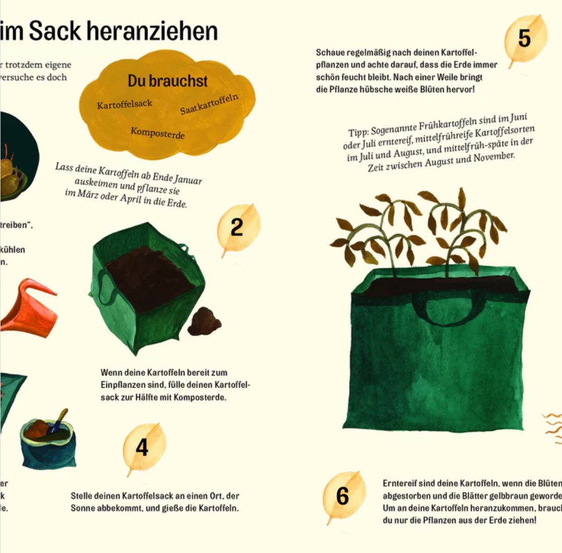 Little green thumbs - gardening and crafting with children