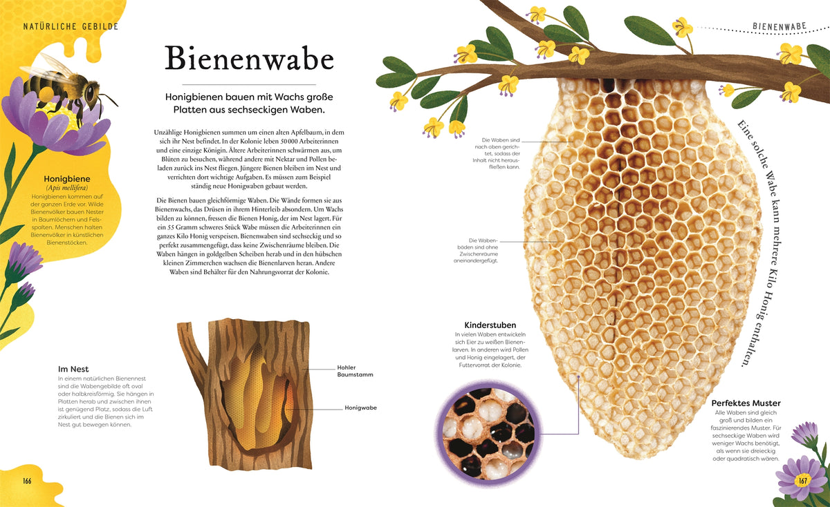 Große und kleine Schätze der Natur