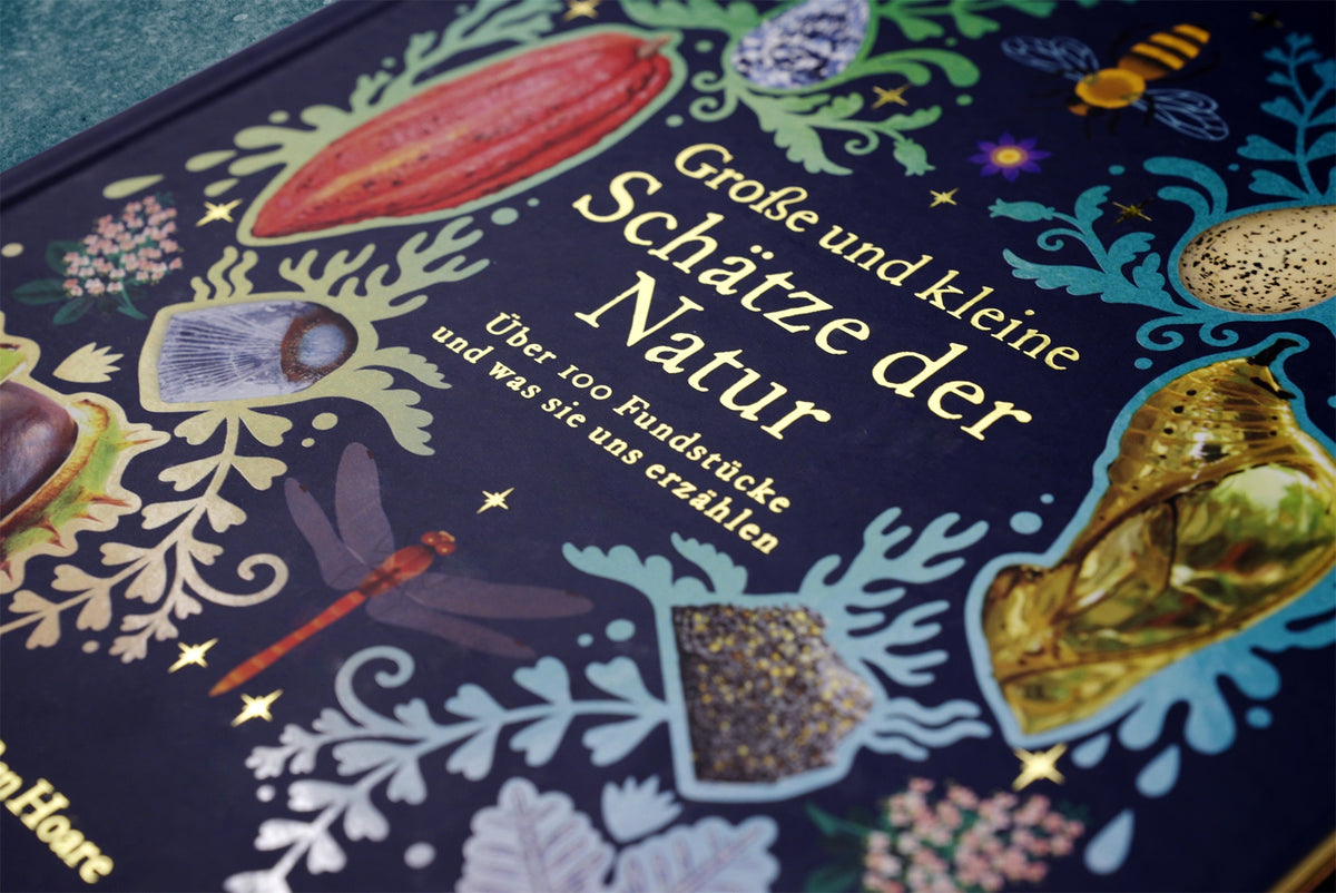 Schätze der Natur Kinderbuch Sachbuch DK Verlag