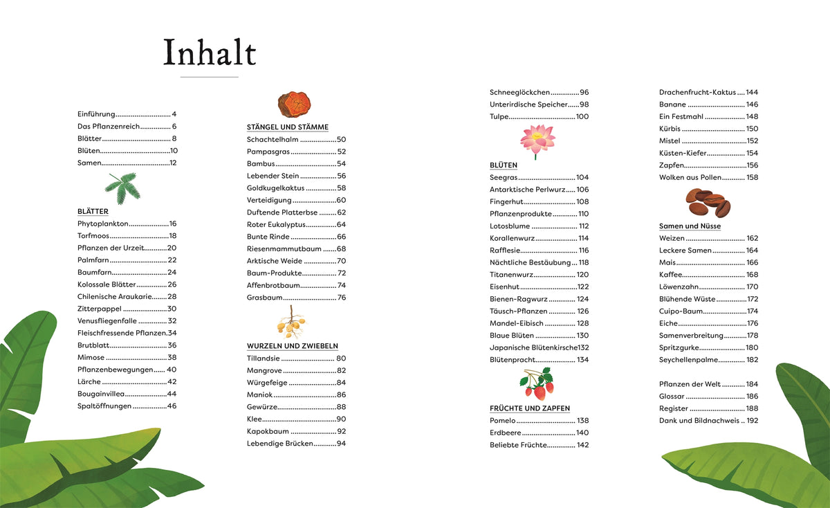 Schätze der Natur Pflanzen Sachbuch Kinderbuch DK Verlag