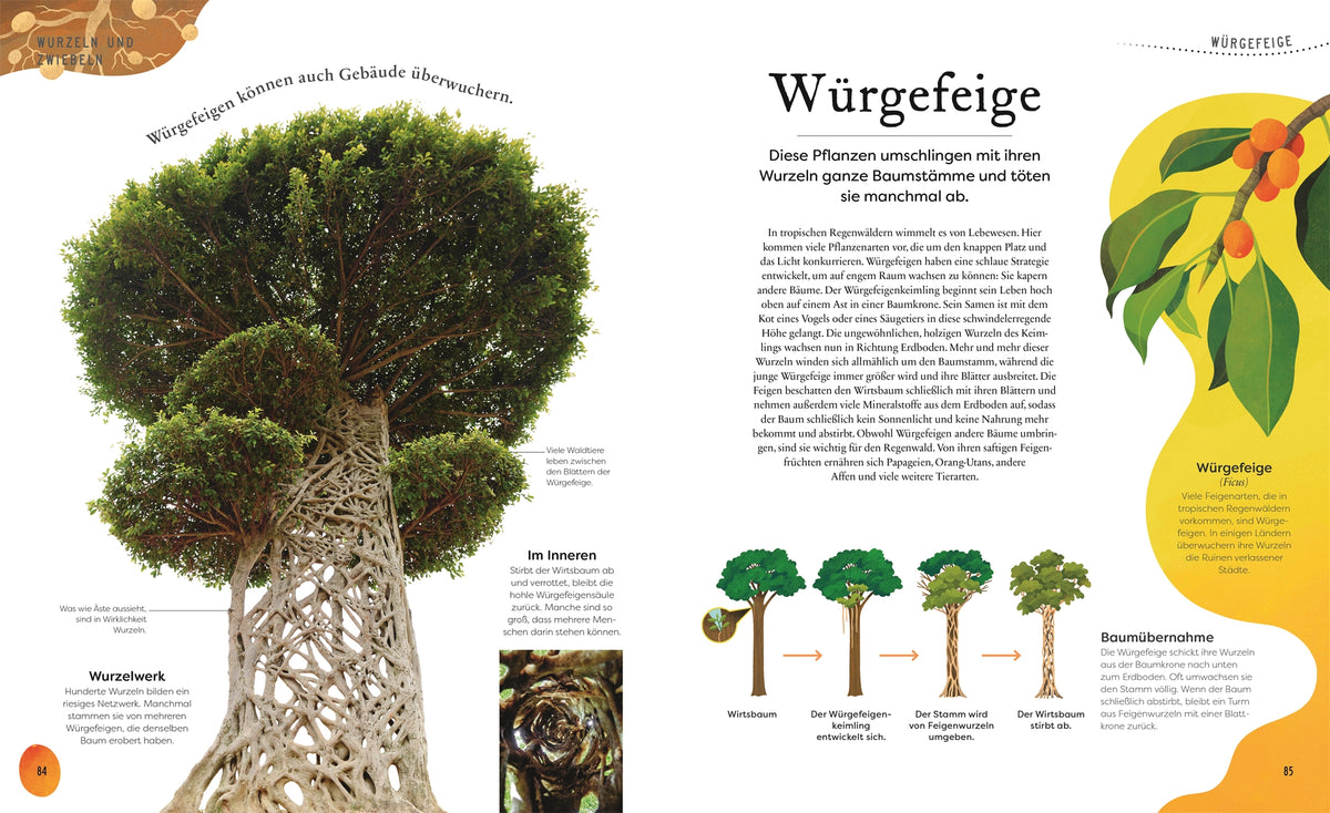 Schätze der Natur Pflanzen Sachbuch Kinderbuch DK Verlag