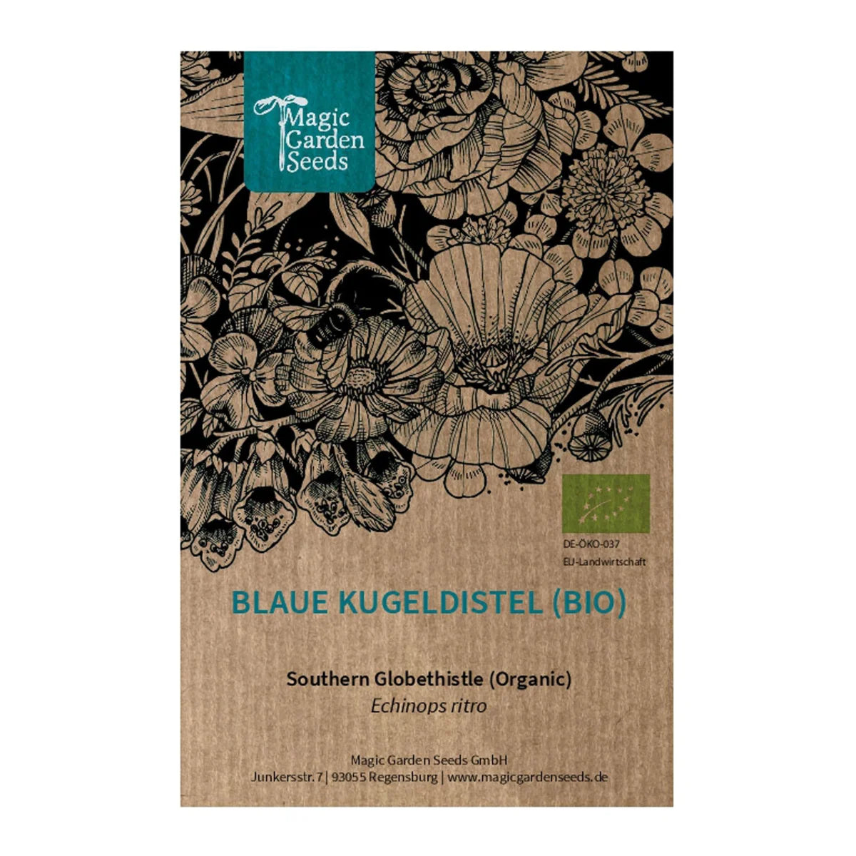 Blaue Kugeldistel Echinops ritro biologisch Saatgut Samen Blumensamen Wildstaude insektenfreundlich Magic Garden Seeds