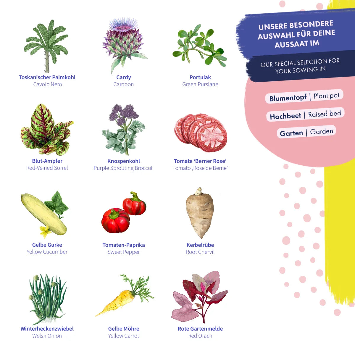 Kenwood KM336 Chef Classic (Gebraucht) In Gersau Für CHF 50 - Nur - Foto 5