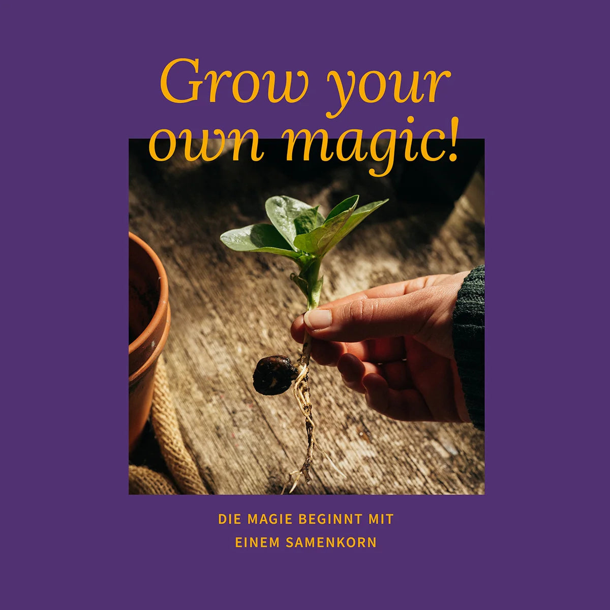 Gemüse Kräuter Hasen Häschen Gemüsesuppe Bio Saatgut Samen Magic Garden Seeds Anzucht