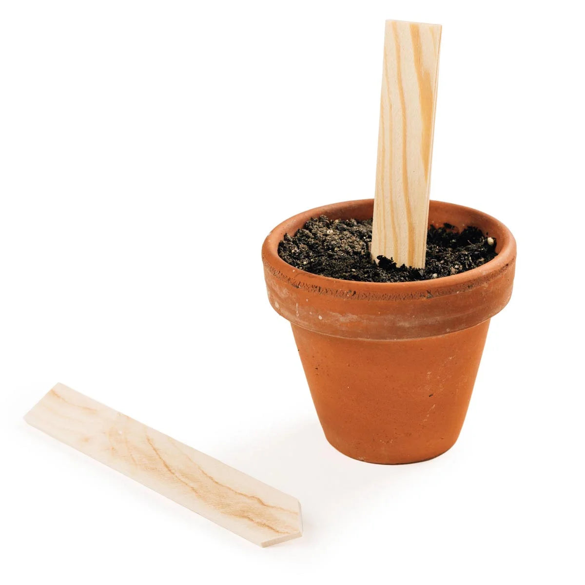 Wilder Blütenrausch Saatgut Set Blumengärtnerin Schnittblumengarten Bio Samen Magic Garden Seeds Samentüten