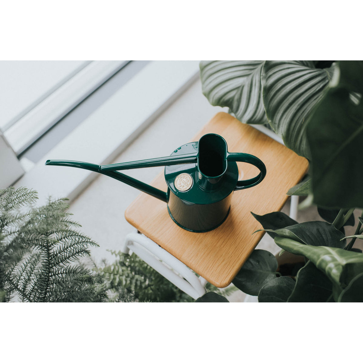 Haws Watering Can 1L - The Fazeley Flow Dark Green