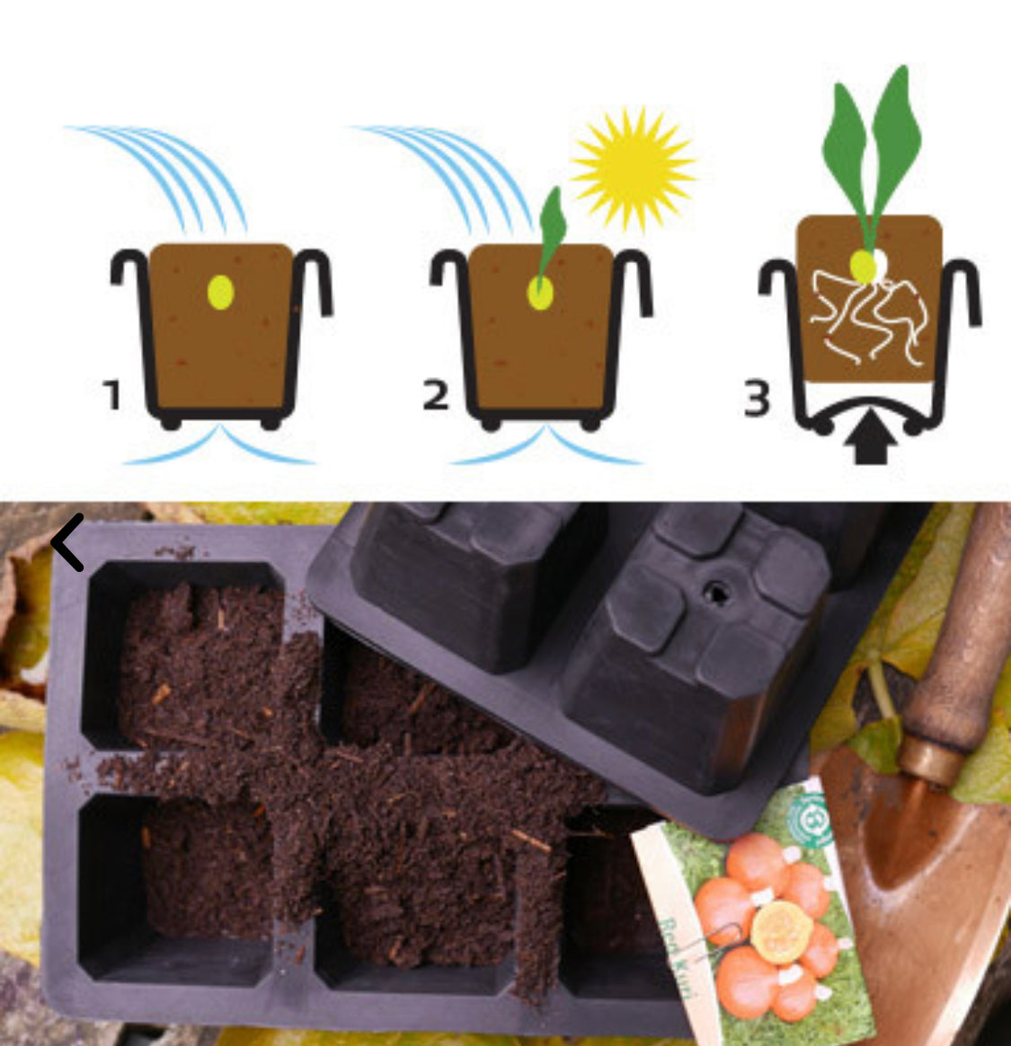 Große Anzuchtschale aus Naturkautschuk - für Kürbisse, Gurken und Zucchini
