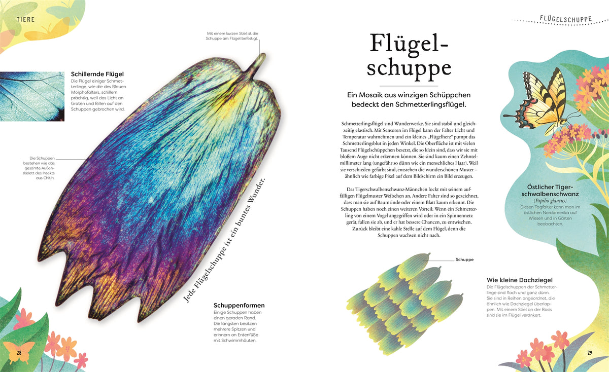 Schätze der Natur Kinderbuch Sachbuch DK Verlag
