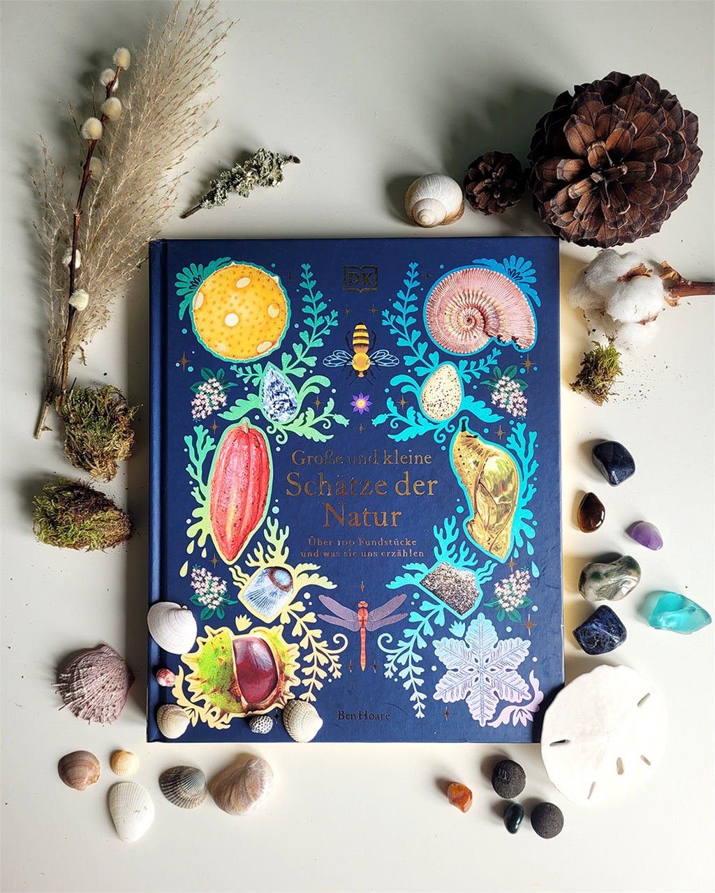 Schätze der Natur Kinderbuch Sachbuch DK Verlag