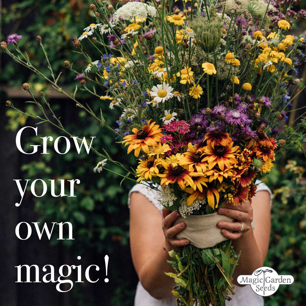 Blumensamen Schnittblumen Blumengarten Wildblumen samenfest Magic Garden Seeds Dahlie Kornblume