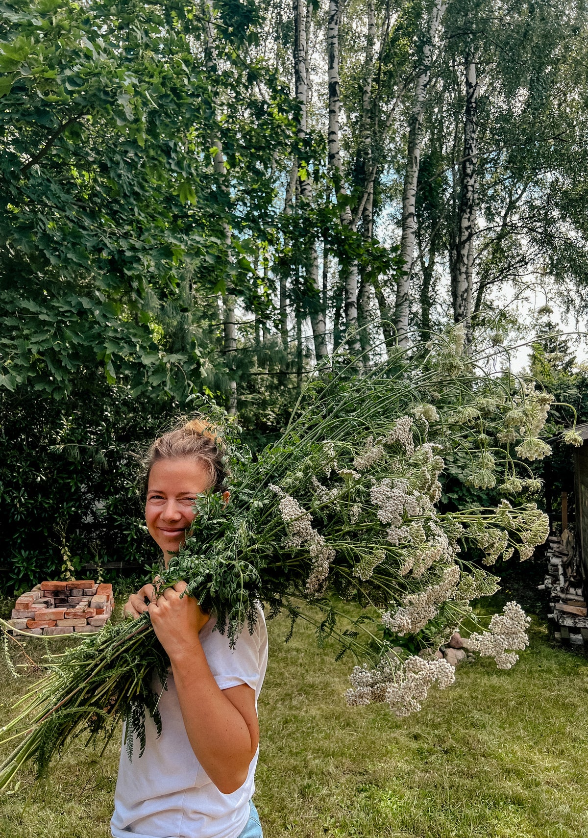 Heilkräuter Samen, Saatgut, samenfest, Magic Garden Seeds, alte Sorten traditionell, Schafgarbe
