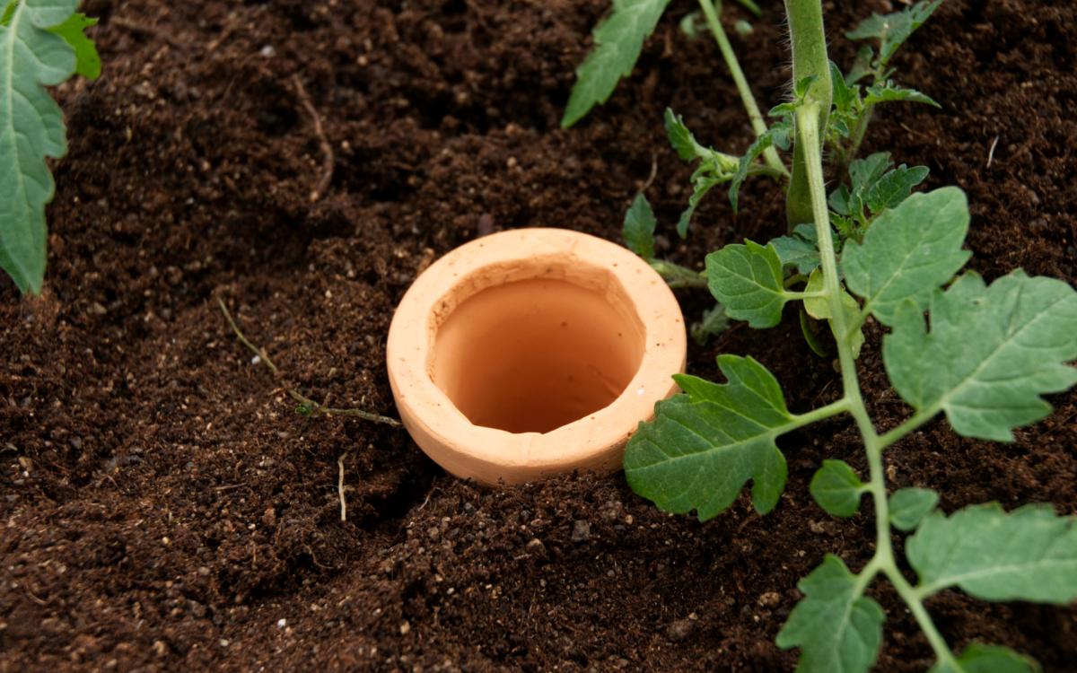 Clay cone MINI for economical irrigation