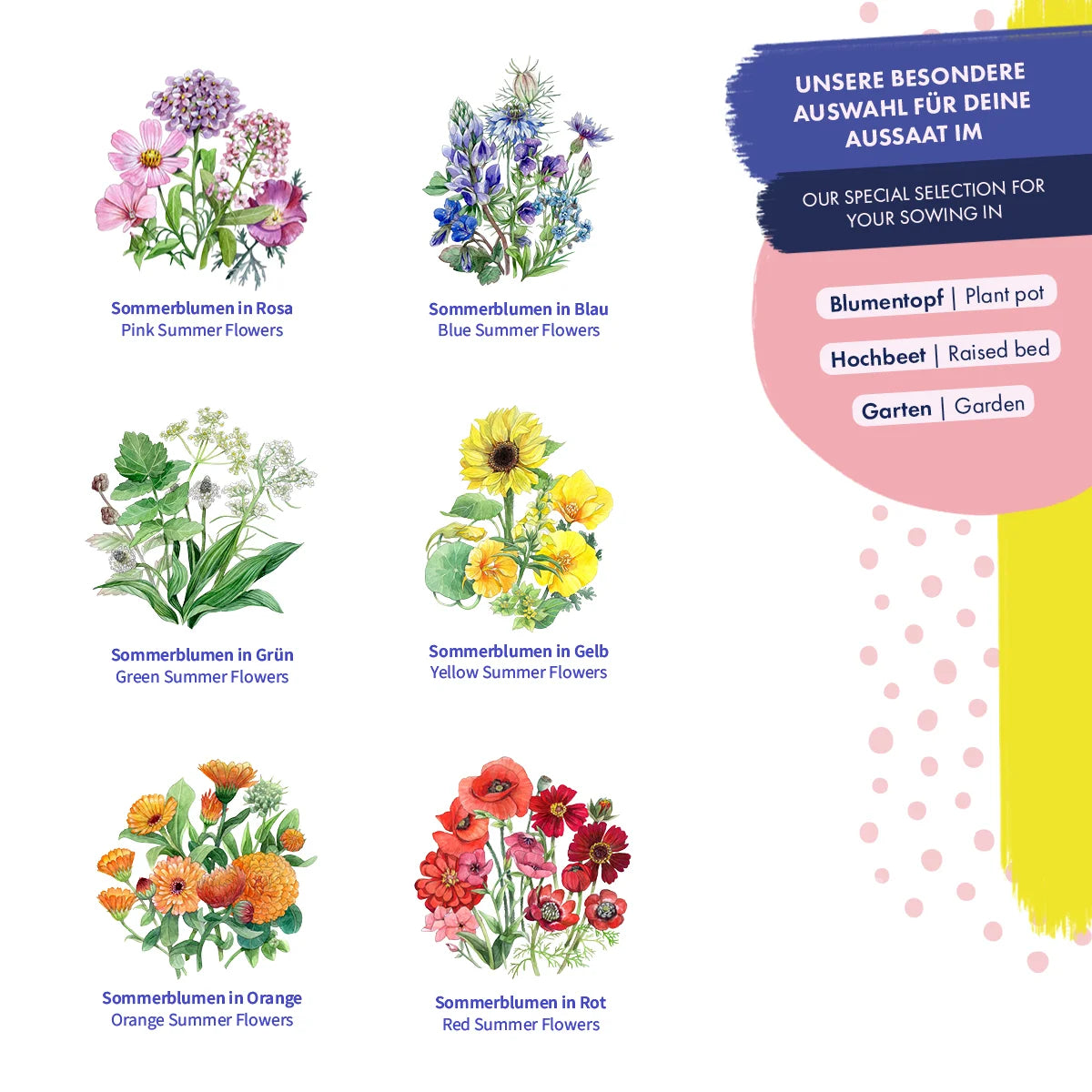 Blumensamen Schnittblumen Blumengarten Wildblumen samenfest Magic Garden Seeds Dahlie Kornblume Regenbogen insektenfreundlich Blühmischung