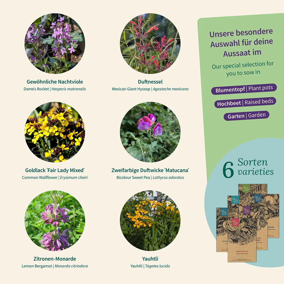 Duftpflanzen Blumenwiese Blumen Saatgut Magic Garden Seeds samenfest