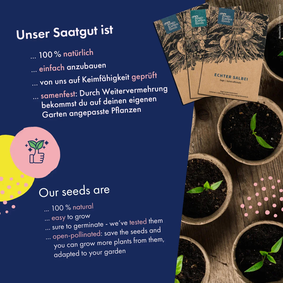 Blumensamen Schnittblumen Blumengarten Wildblumen samenfest Magic Garden Seeds Trockenblumen Distel Wilde Möhre Trommelstock Hasenschwanzgras
