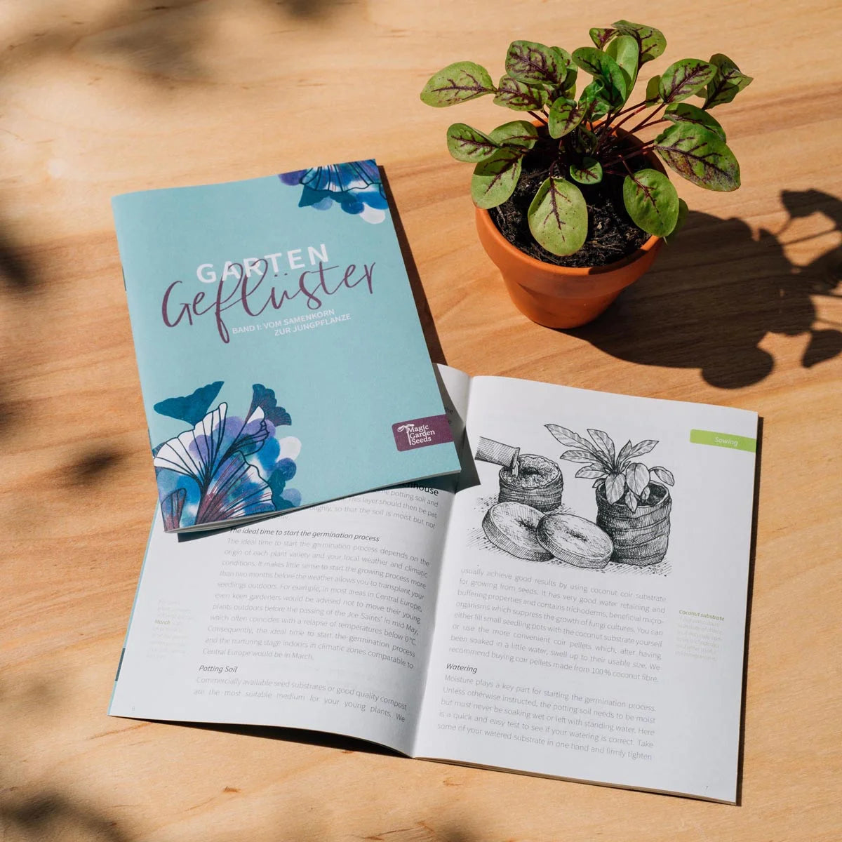 Gemüse Kräuter Hasen Häschen Gemüsesuppe Bio Saatgut Samen Magic Garden Seeds Anzucht