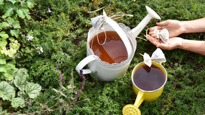 Kompost Tee Pflanzensud GartenLeben Mikroorganismen natürlich biologisch düngen Dünger
