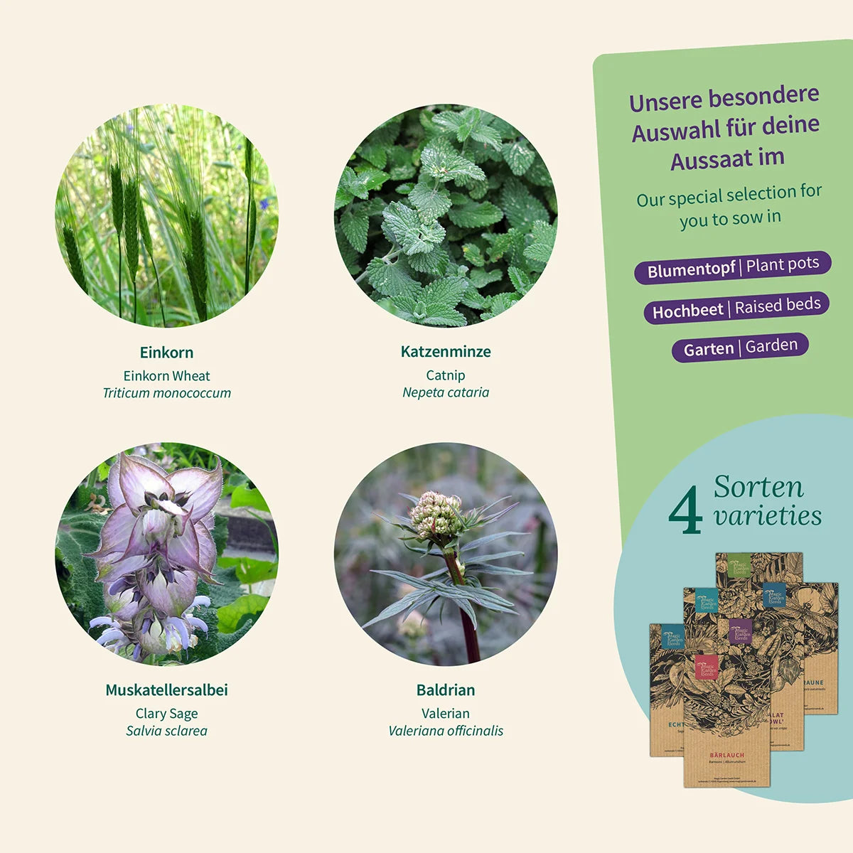 Kitchen herbs &amp; spices for aroma freaks - organic seed set