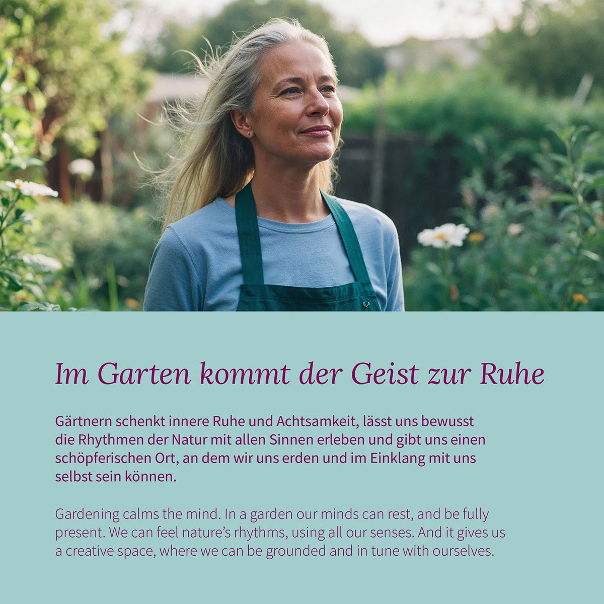 Duftwicke Lady Grisel Hamilton Magic Garden Seeds Saatgut Schnittblumen samenfest