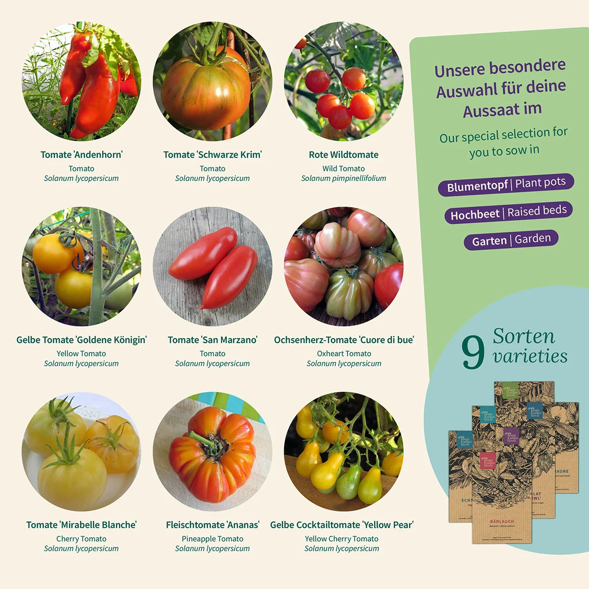 Tomaten historische alte seltene Sorten Saatgut samenfest Magic Garden Seeds Set Aussaat
