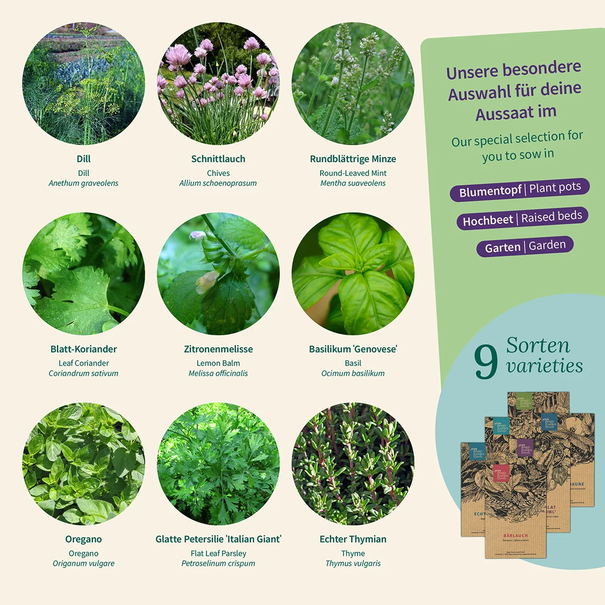 Kräutergarten Fensterbank Topfkräuter Saatgut samenfest Magic Garden Seeds