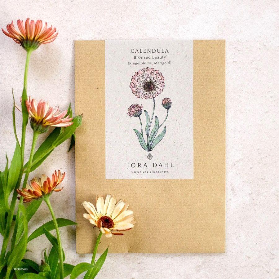Ringelblume Calendula Bronze Beauty Jora Dahl Schnittblume Essbare Blüten