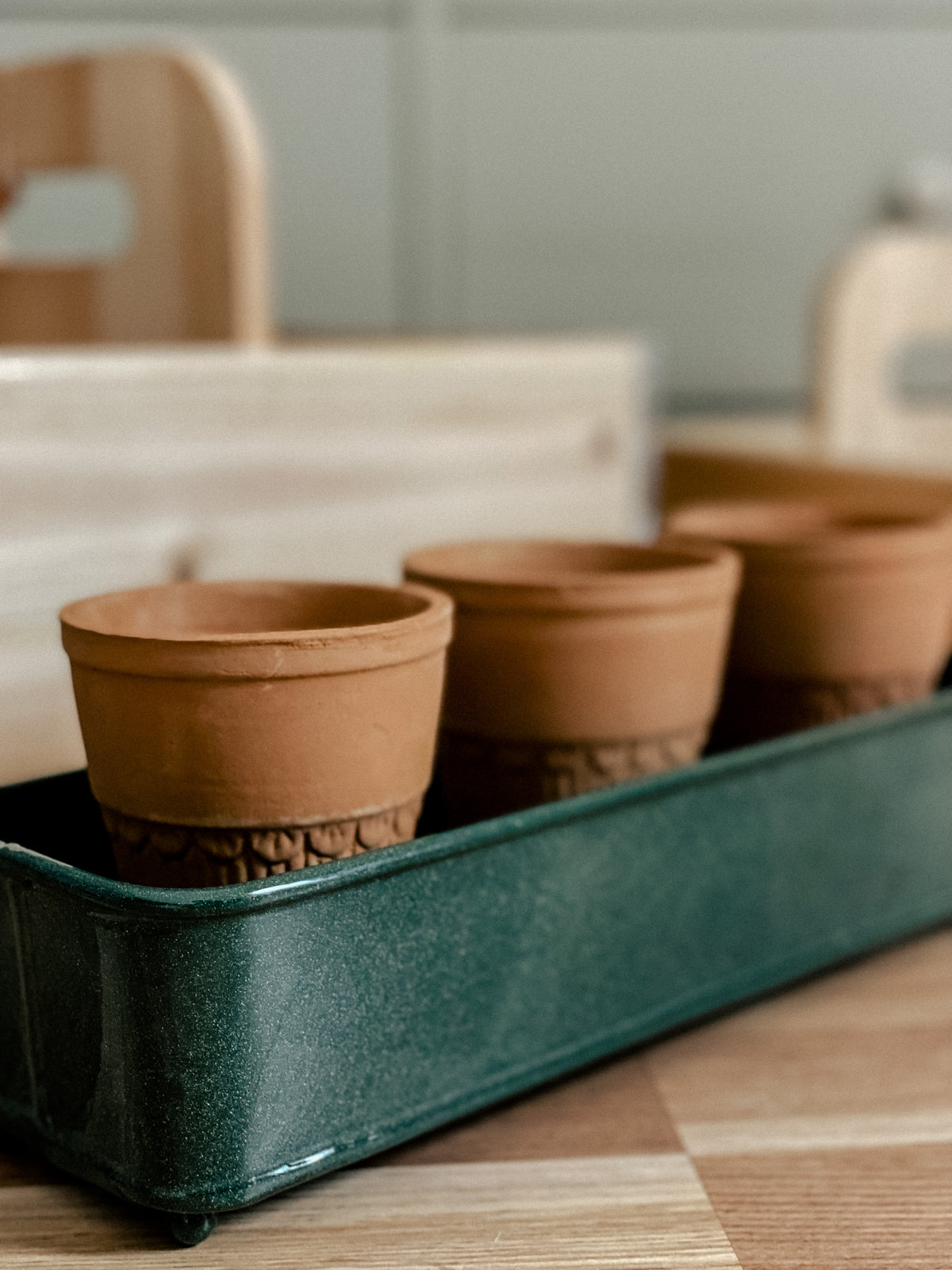 Plant box - utensil in different colors