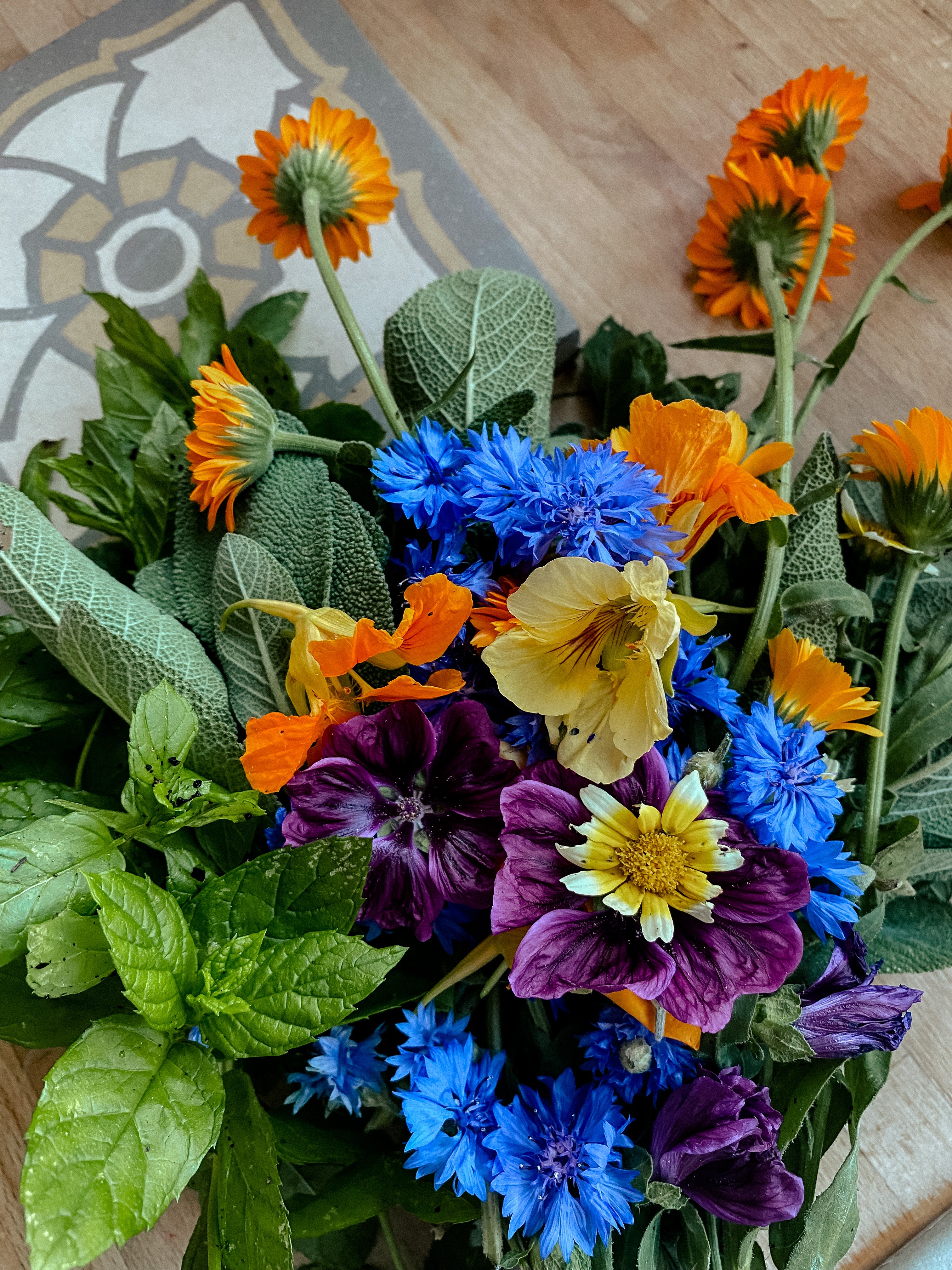 Edible &amp; Wild - Magical wild herbs with edible flowers