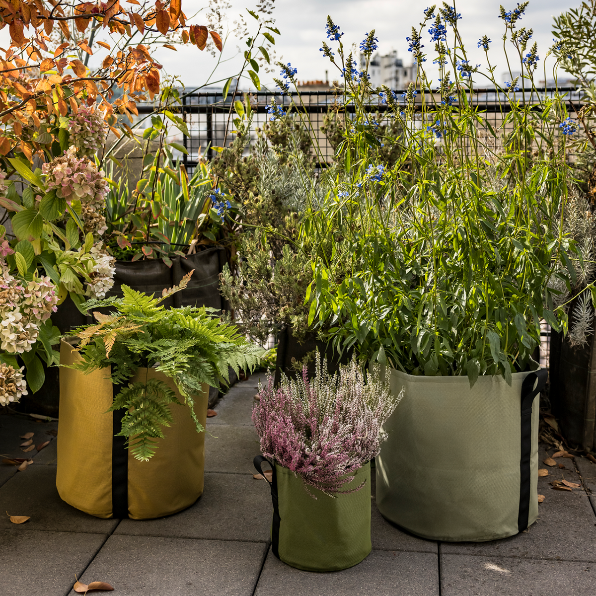 Lime Green Pflanzsack aus Geotextil für Balkon und Terrasse 25L