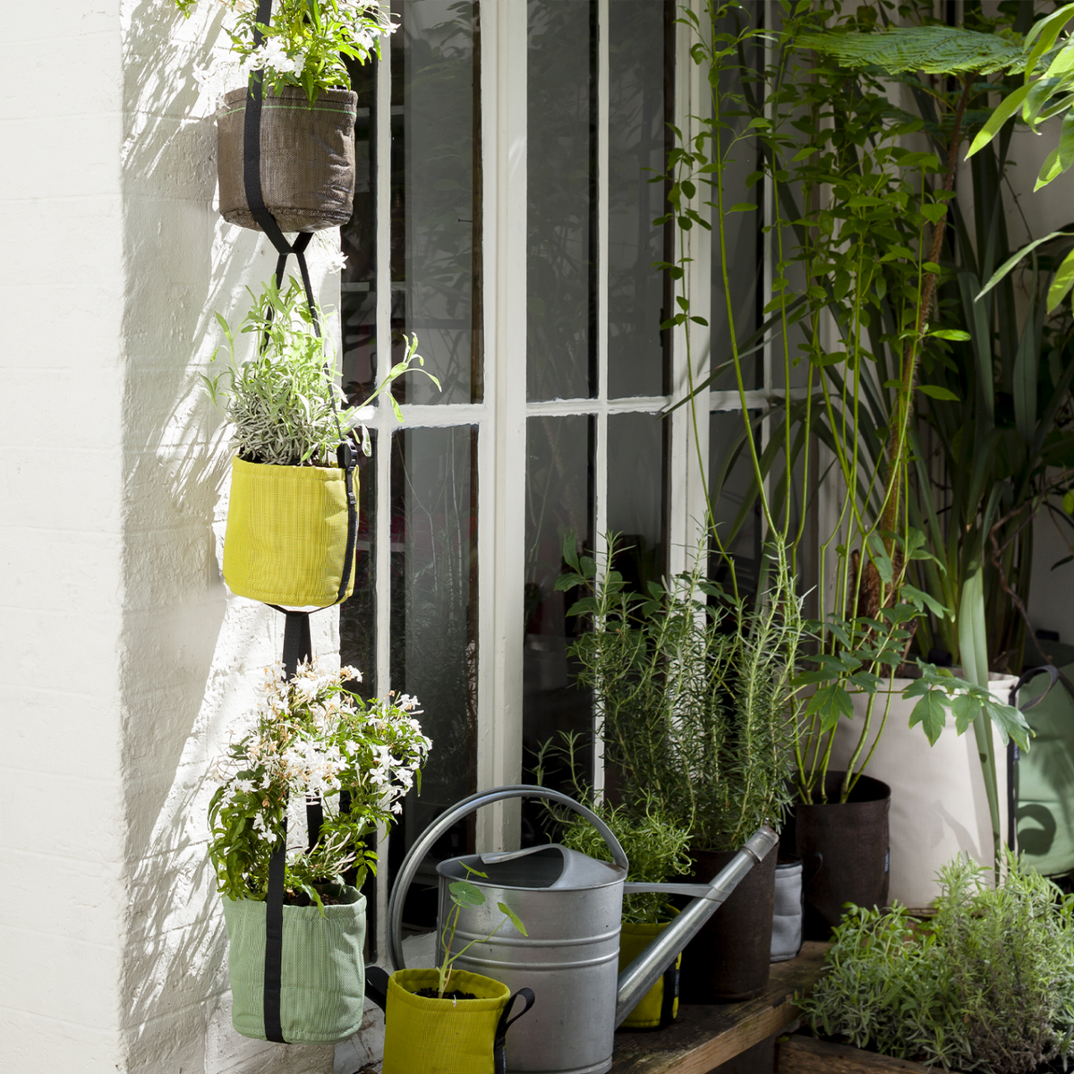 Hängender Pflanzsack Yucca 3L
